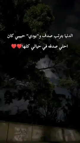 #حبيبي #بودي #حبي_في_عبدالرحمن_براحتك_ياقلبي😂😂😂😂 #فولو_ونت_معدي_بق😉😂❤#عاوزه_الاكونت_ياكبير#فولو🙏🏻لايك❤️اكسبلور🙏🏻🌹💫 