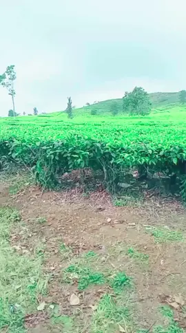 Anak udh pd gede mh bebas jln kmna aja brasa pacaran 🤭 #healing #berdualebihbaik #menuabersamamu #fyp 