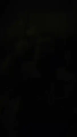 chang le hoa tan, moi thay duoc rang muon mang