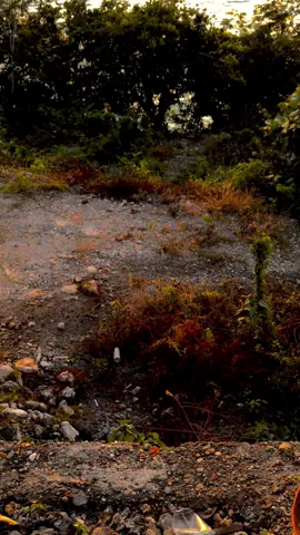 Merindukan dia, yang selalu berada dalam doa, tapi entah kapan bertemunya… #TikTokImpact #foryou #foryoupagee #lagutimur #storypantai #sunsetsorehari #sunsetdipantai 