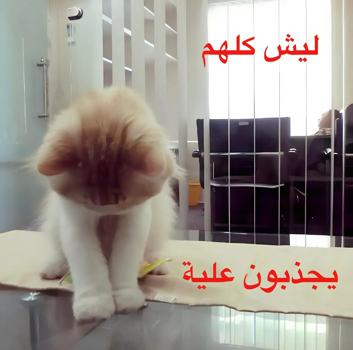 😖😿 #fypシ゚ #tiktok #foryou #foryoupage #viraltiktok #explore #اكسبلور #لايك #العراق 