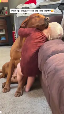 Dogs always protect babies silently ❤️#dog #Love #baby #dogtiktok #fyp 