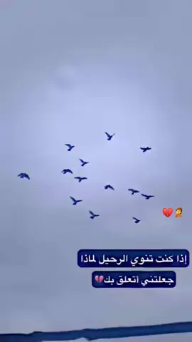 يالـمـريـه بـعـدنـي صـغـيـر💔😕/ . . #✨الشريفي⚓  . . #تصميمي_رايكم  . .