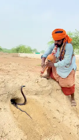 Part 1 #wildliferescue #fypシ #foryou #trendingvideo #viralvideo 