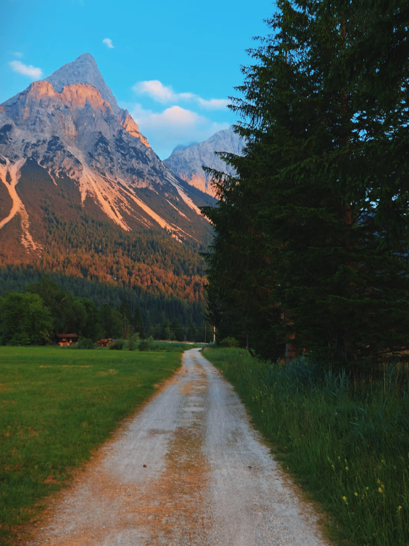 Let’s take a slow walk where the world feels quiet. #mountains #walk #hike #travel #solotravel #explore #goldenhour #nature #relax #ambient #vibes #ehrwald #biberwier #lermoos  #talksessions #MentalHealth #MentalHealthAwareness #ihopeyouarewell #fyp 