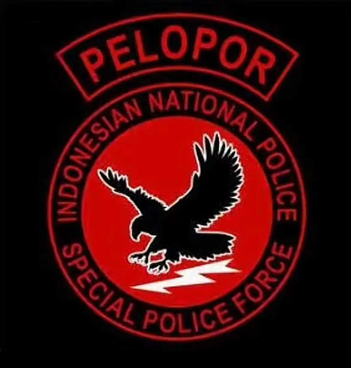 #korpsbrimob #brimob #pasukanpelopor 