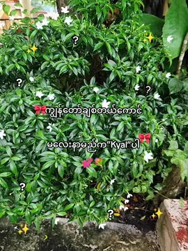 Kyal 🎀💞#fyppppppppppp #fypppppppppppp #tiktokmyanmar #lyrics #funnyvideo #explorepage #likes #reels #myanmarcrestor #relatableကူးတော #tiktoktrend 