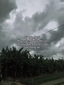 #xh #fyp #phetamtrang 