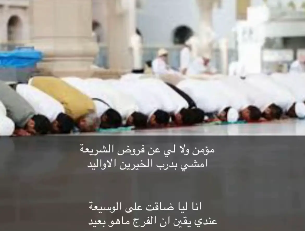 #ترند_تيك_توك  #شعر  #مساء_الخير 