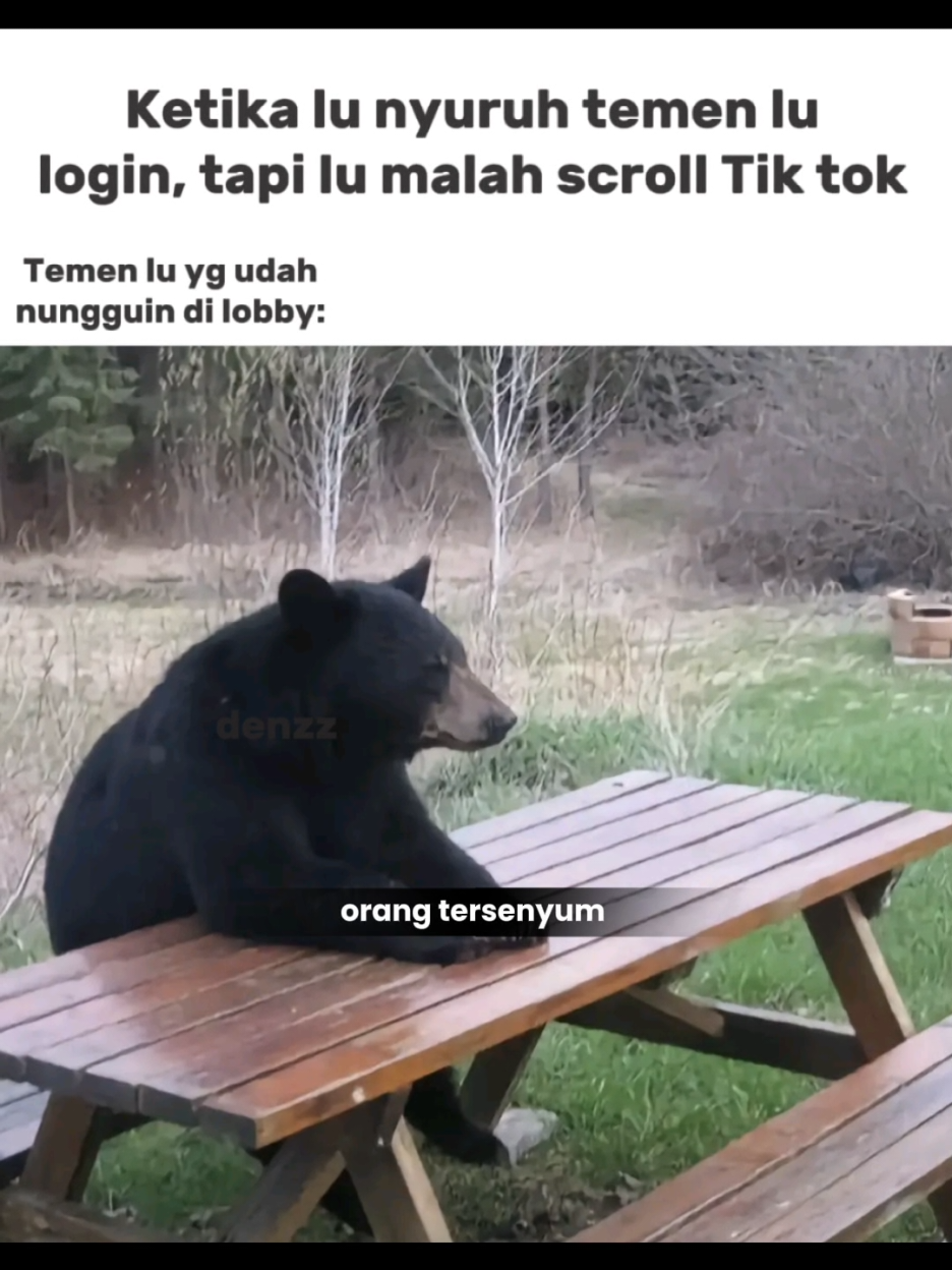 im sori my pren🤭😹 #zxycba #jjwiner #jjelitis #jjrelate #fyp #meme 