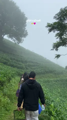 Chasing clouds & wandering through the mist🌧️🩵 #pakhribas #worktime #Simsuwaparkpkb 