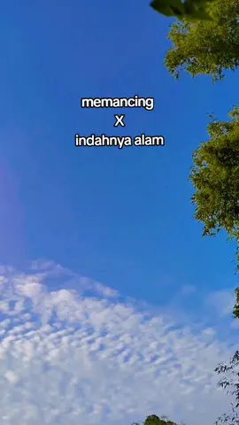 Sangat melengkapi liburan kali ini  #memancing #mancing #mancingliar  #mancingmania #fishing #fypmancing #fypシ #fyp #foryou #foryoupage #fyppppppppppppppppppppppp #microfishing #xybca #beranda #jombang #jombang24jam 