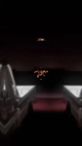 مرفوع راس الخوي #امين_عيبان  #5F🇶🇦 #شاصات_شاص_تصميمي #fypage 