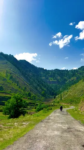Tirah Valley Maidan Beautiful Views ❤️🏔️. . . . . . . . . . . #tirahvalley #explore #foryoupage #typ #naturevibes #peaceful #mountains #viralvideo #1millionviews #naveed_ahmad_10 