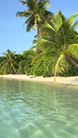 Tropische Zone 🌴 #inthezone #maldives #localislandmaldives #fyp #foryo 