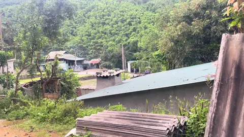 #xekiengvietnam🇻🇳 #xekiengthailand xe hộ nghèo của miền núi ✅🤭@ah yêu em..? @Thế Anh 36🚩 