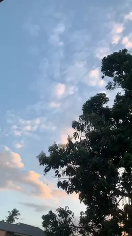 Bermula dari doa-doa yang lirih, dalam sunyi malam yang tak banyak tahu. Langkah demi langkah dijaga, bukan hanya untuk bertemu, tapi untuk dipertemukan dalam ridha-Nya. Tak selalu mulus jalannya, kadang tertatih, kadang menunggu dalam ragu. Namun hati tetap bersandar pada takdir, bahwa yang dititipkan lewat sabar, akan dipertemukan lewat waktu yang paling indah. Kita bukan sekadar saling suka, kita adalah dua jiwa yang berjuang, melewati batas dunia menuju janji yang suci. Sebab cinta sejati bukan sekadar pertemuan, tapi perjalanan panjang untuk bisa menyebutmu: halalku.