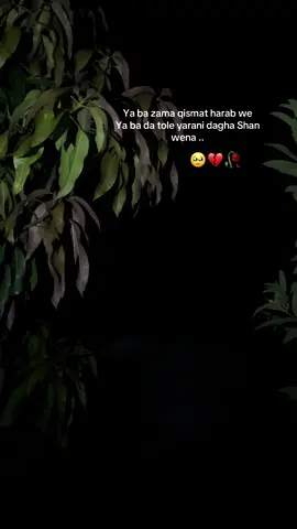 Ya Ba Zma Kesmat Harab We…..🥹🥀• #flypシ #accuntfreez😔 #views #problem #fffffyyyyyyyyyppppシ #flllyyyyyyyyyyyyyyyyyy #viraltiktakteamthisvideo #viraltiktakteam #tiktakteam😥_plz_👑_foryou_pr_laoo_ 