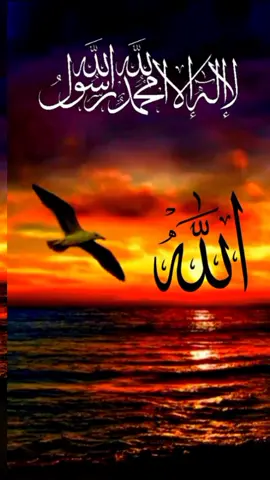 #asalamualaikum🙏 #