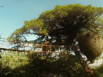 paddington (2014) & paddington 2 (2017) #thebeautyof#paddington#edit#cinematography#filmedit#movieedit#sageflm#fyp 