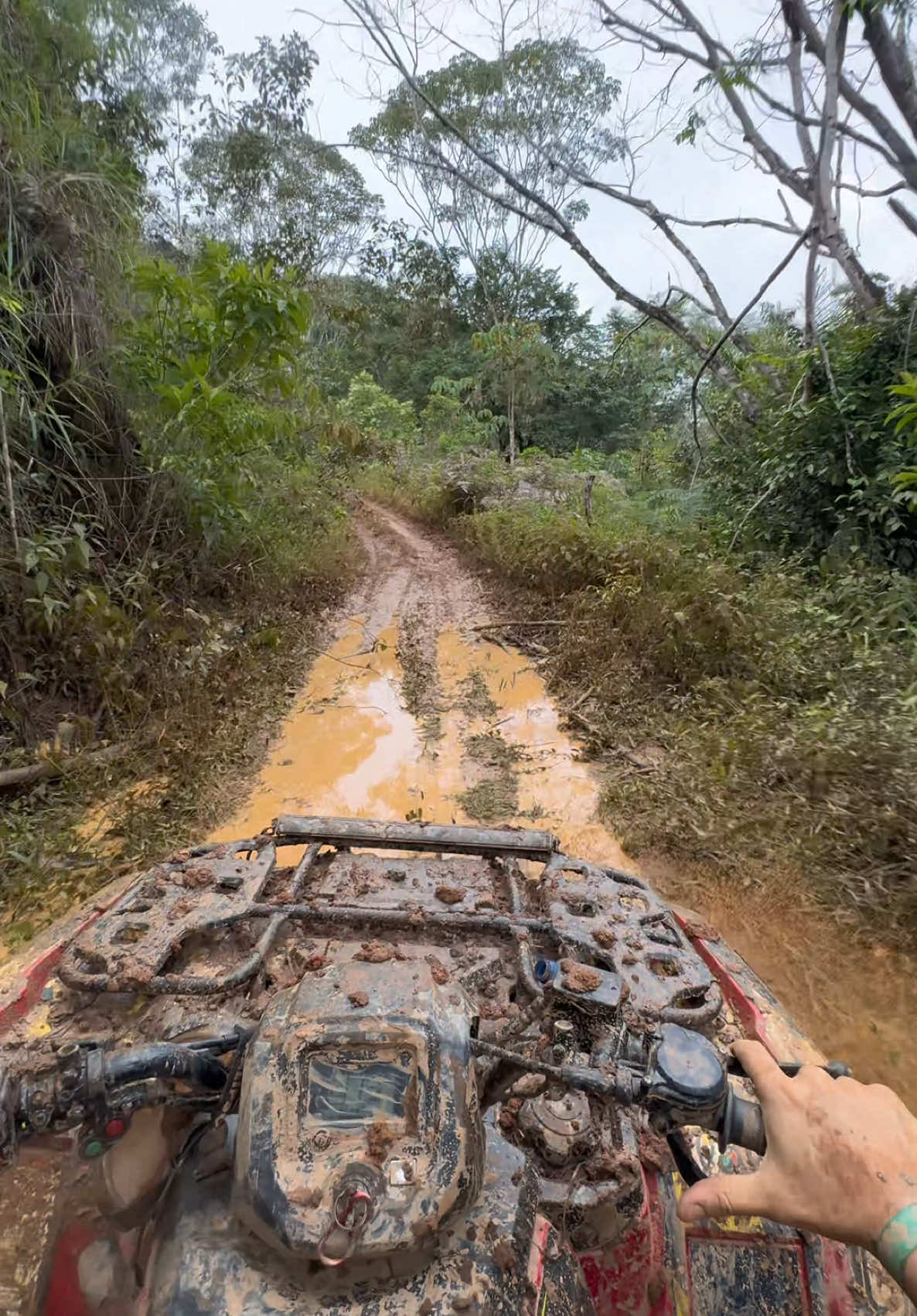 Se tivesse chovendo estragava o vídeo 👻 #quadriciclo #quadri #honda #quadriciclobrasil #trilha #offroad #crf #trilhas #crf250 