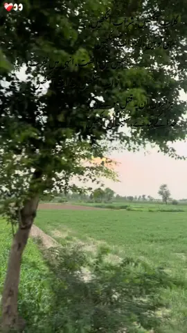 ہذاروں ان پر قتل ہوے ہیں،خدا کے بندے سنبھال آنکھیں👀❤️‍🩹#Foryou #gum_nam149 #tiktok #goviral A🫠❤️‍🩹 