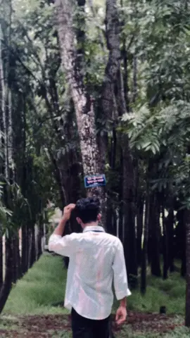 oreeeh gan 👉👌👌