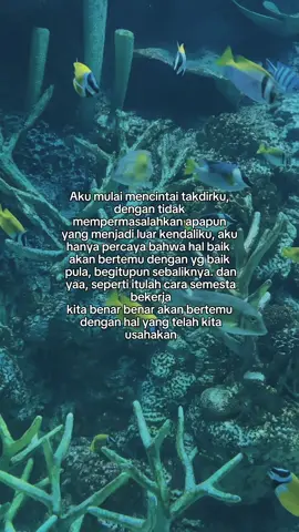 David Bayu - Deritaku #davidbayu #deritaku #david #fyp #liriklagu #viraltiktok #CapCut 