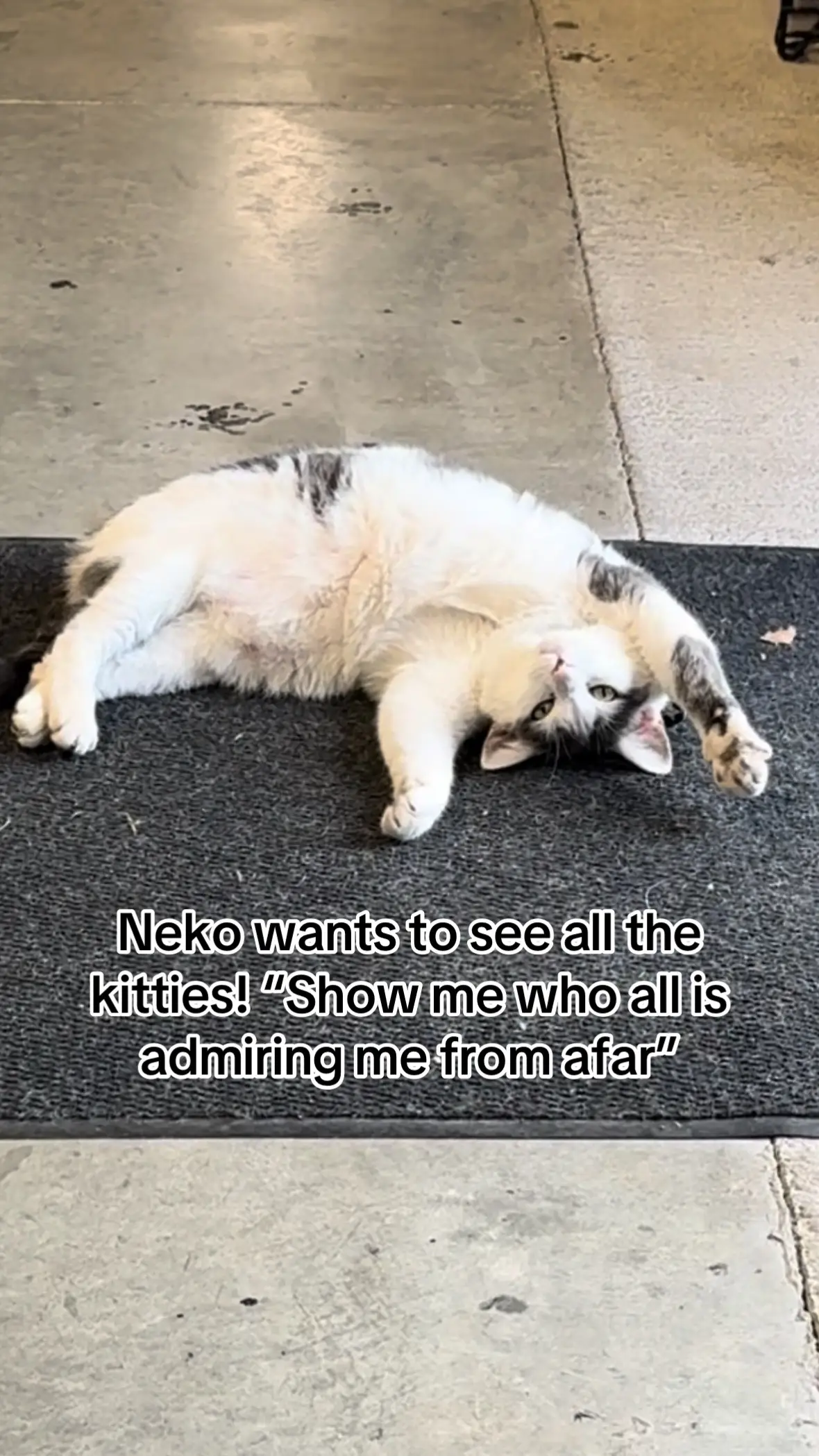 I can’t wait to show him all his new friends ❤️