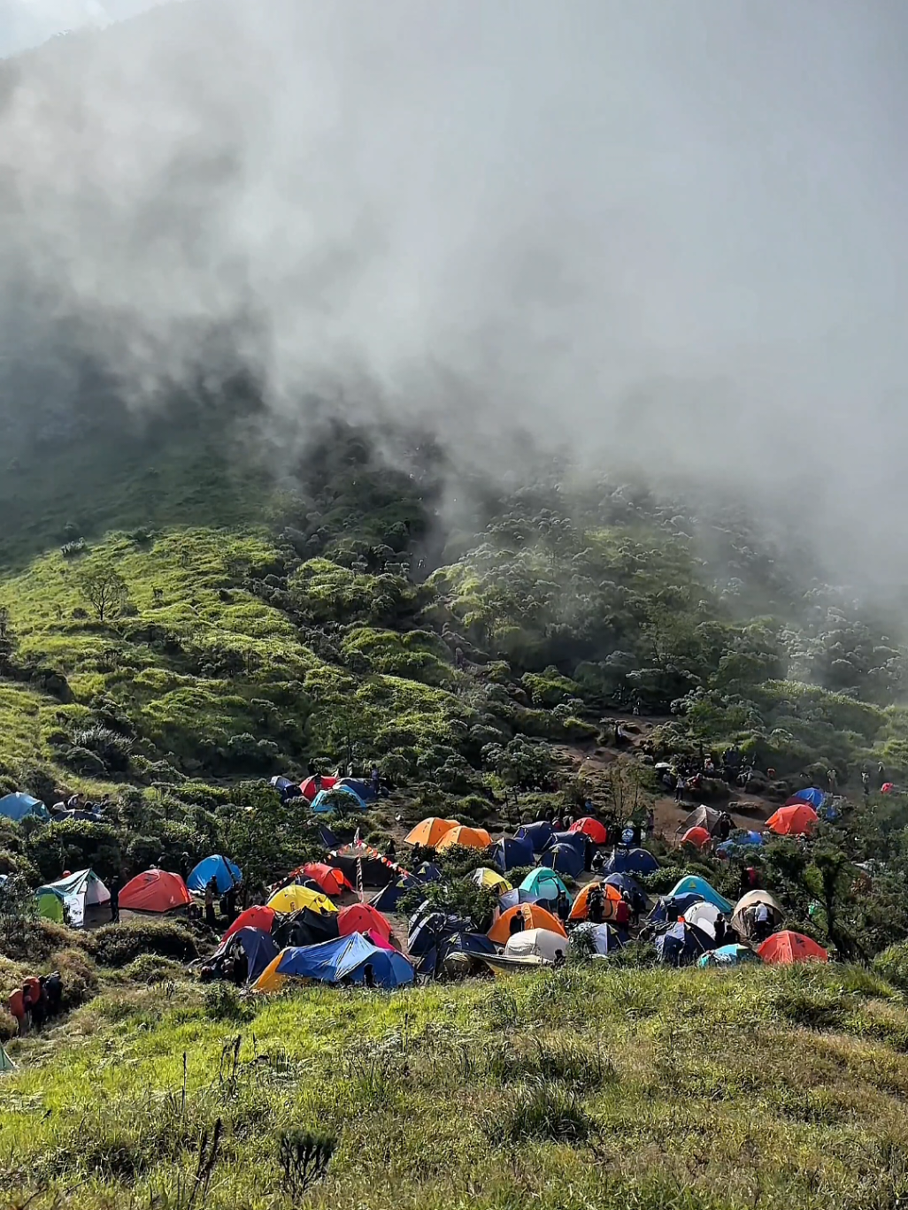 merbabu x bergema sampai selamanya 🎵 #merbabu #merbabuviaselo #pendakigunung 