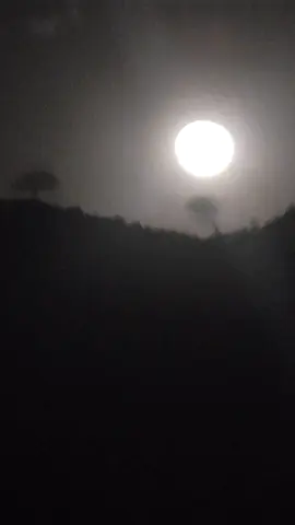 #تبي_ترضى_تبي_تزعل_تبي_تبقى_تبي_ترحل #تصويري_احترافي_الاجواء👌🏻🕊😴 