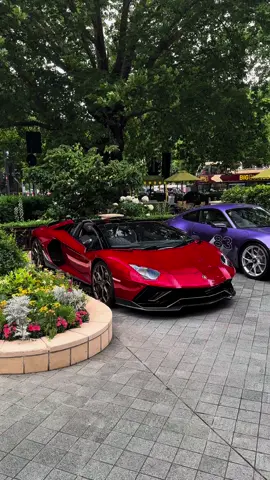 W spec  #lamborghini #aventadorultimae #lamborghiniaventador #aventador #spotsbyalexx #supercar #Lifestyle #viralvideos #careditsounds #carstiktok #carspotting #fyp 