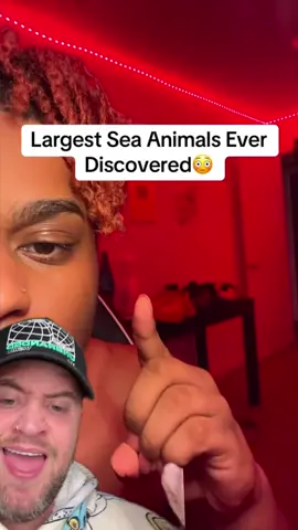 #duet LARGEST SEA ANIMALS EVER DISCOVERED @ItsMarr™ - IG - richardsalesofficial #viral #xyzbca #FYP 