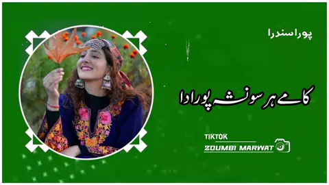 Ka me har so nasha pora da full song 👀🫶🍷#zoumbimarwat #tiktok #marwat #fallowme #tiktokpakistan #foryoupage #fyp #cupcut #pashtosong #100kviews #fullsong #pleasesupport #warning #watseapstuttas #accountwarning #how 