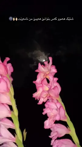 نامەوێت هەرگیز⛓️‍💥🖤🙌🏻#fypシ #virall #tiktok #selwa🦋 #explore #foryou 