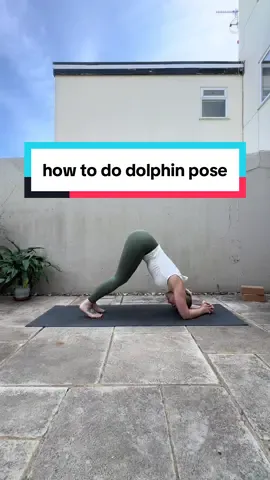 This week we’re looking at ardha pincha mayurasana, also known as dolphin pose!  HOW TO:  - come to tabletop and lower down to your forearms  - pull your belly in and up and press out of your shoulders  - have palms on the mat or clasp your hands together  - gaze towards your knees, tuck your toes under and lift your hips up  - option to walk your hands closer to your elbows to deepen the stretch  - keep a soft bend in your knees and reach your heels down towards the floor  MODIFY: deepen the bend in your knees or keep a wider stance between your feet and elbows, or both!  #dolphinpose #ardhapinchamayurasana #yogaathome #yogatips #yogapose 