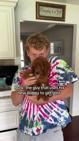 “I think my dog likes you” 😂😂 #puppy #rizz #memes #skits 