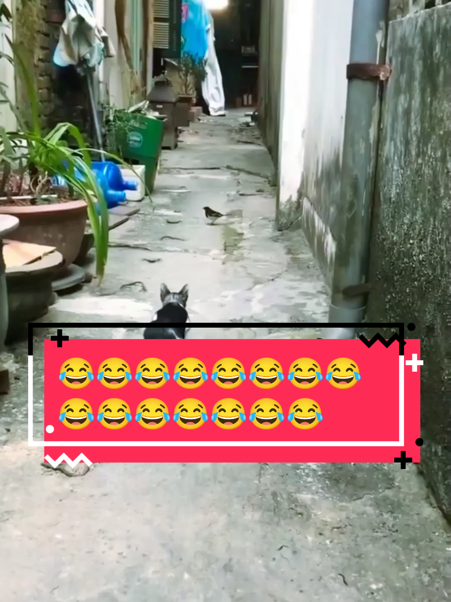 #explore #اكسبلور #TikTok #tiktok #fouryou #pourtoi #فرنسا🇨🇵_بلجيكا🇧🇪_المانيا🇩🇪_اسبانيا #المغرب🇲🇦تونس🇹🇳الجزائر🇩🇿 #الجزائر🇩🇿 #algeria #تونس #المغرب #france 