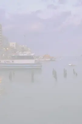 بس البشر قاسيين يابا🖤#البودا_القابوطي #تصميم_البودا 