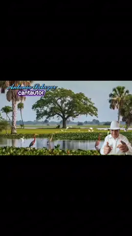 #buenosdias #musicallaneravenezuela #llanura #antoniosalazar4288 