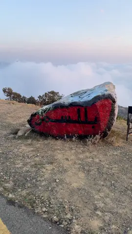 #fyp #foryou #fypシ #axplor #اكسبلور #بللسمر #foryoupage #4u 