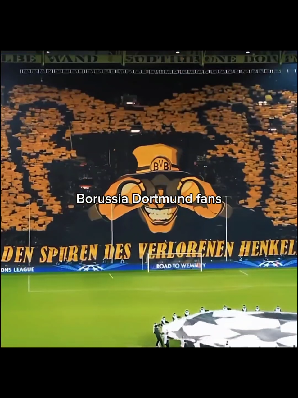 Borussia Dortmund fans #foryou #foryoupage #fy #borussia #borussiadortmund  #fans #ultra