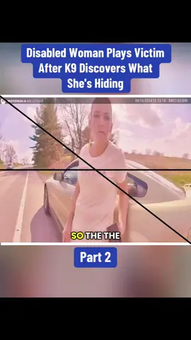 Disabled Woman Plays Victim After K9 Discovers What She's Hiding	Part 2 #cops #copsoftiktok #police #policeofficer #bodycam #crime #truecrime #truestory #foryou #fyp