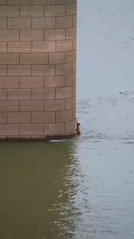 #🏊 