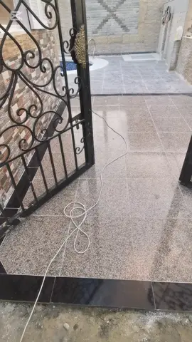 #مافيا