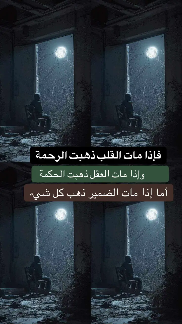#عندما يغيب الضمير...... تموت المبادئ  وتُكفَّن الأخلاق.... وتُدفن القيم والإنسانية👌🍃🍂🤎🤍 #كلمات_من_القلب  #للعقول_الراقية_فقط🤚🏻🤎  #بحار #اكسبلورexplore 