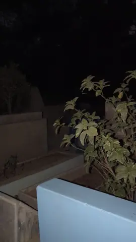 2 am at Qabrastan  Munnu Goth Graveyard