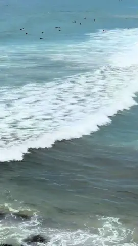 to the sea please sir! 