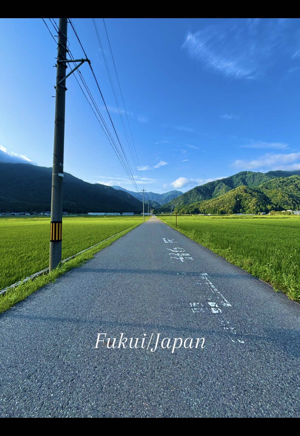 Quiet roads. Wide skies ☁️🌱 静かな道。広がる空☁️🌱Hidden beauty of Japan|日本の隠れた魅力 #Japan #HiddenJapan #JapaneseCountryside #田舎#自然