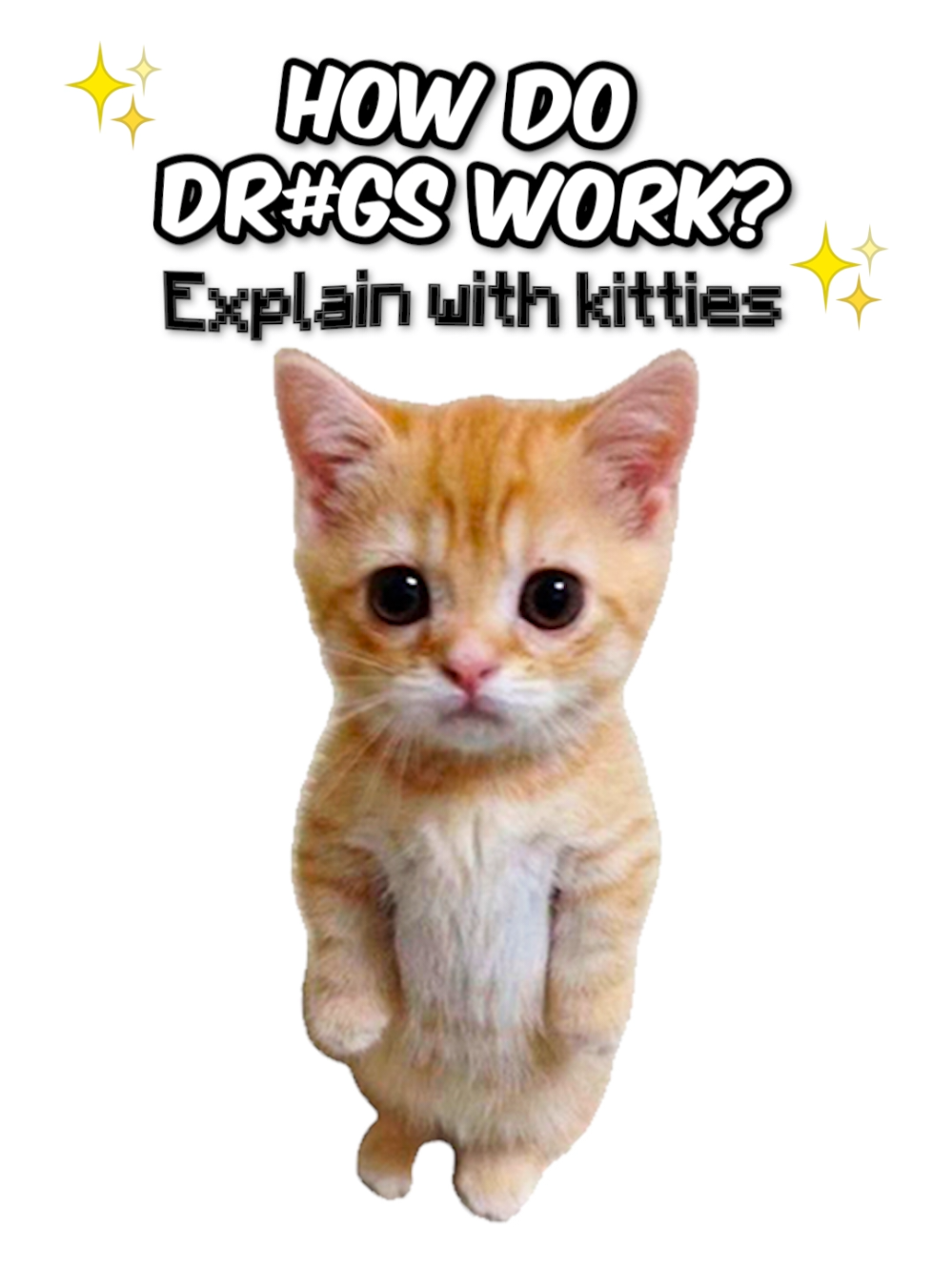 How do Dr#G$ work? explain with kitties #cats #kitties #funnycats #kittyexplains 